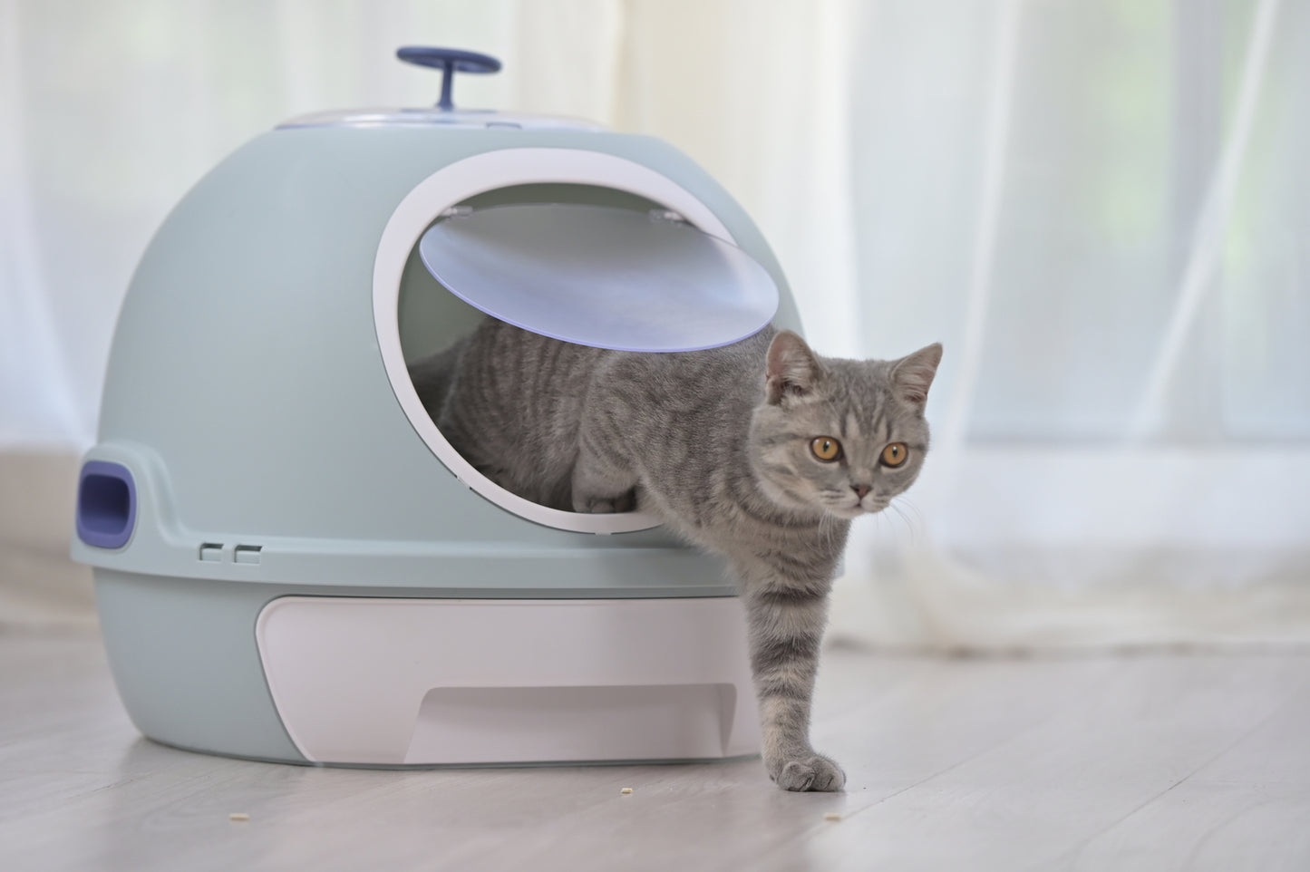 Cat Toilet Litter Box House - Photocatalyst Purifier