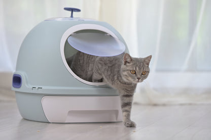 Cat Toilet Litter Box House - Photocatalyst Purifier